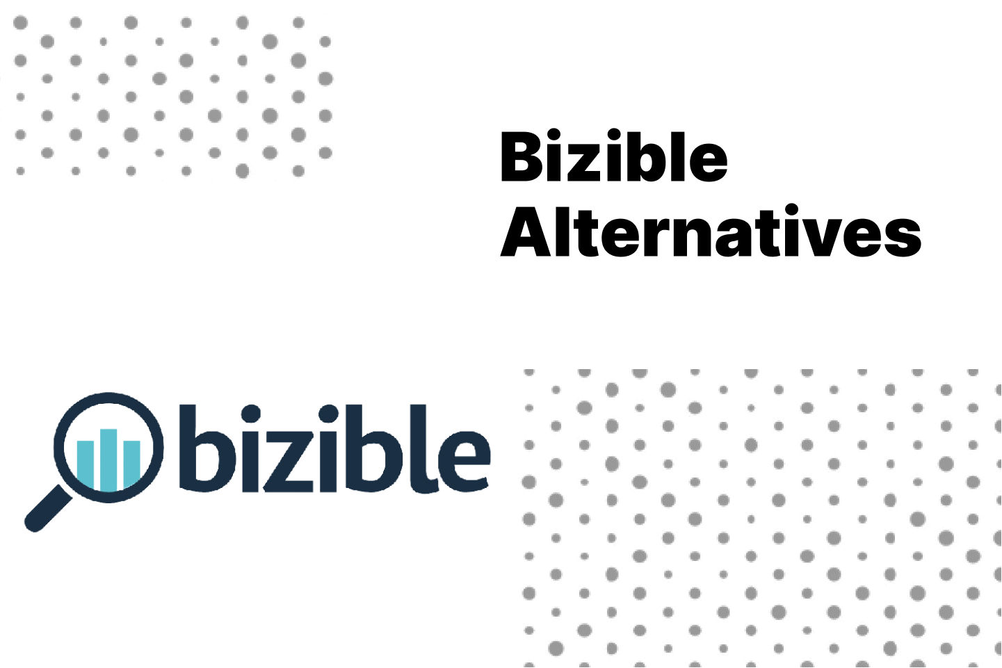 Top Bizible Alternatives